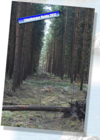 Lüneburger Heide 2017