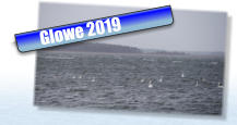 Glowe 2019